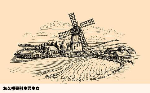 怎么样鉴别生男生女