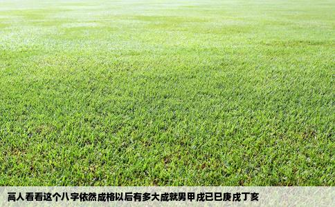 高人看看这个八字依然成格以后有多大成就男甲戌已巳庚戌丁亥