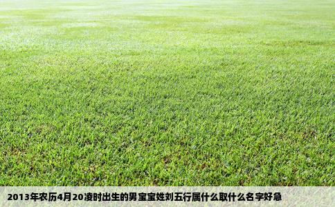 2013年农历4月20凌时出生的男宝宝姓刘五行属什么取什么名字好急