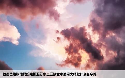 他爸爸姓张他妈妈姓郑五行水土旺缺金木请问大师取什么名字好