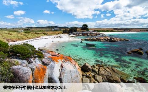 餐饮在五行中属什么比如金木水火土