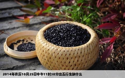 2014年农历10月25日中午11时30分出五行生缺什么