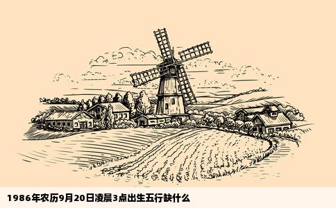 1986年农历9月20日凌晨3点出生五行缺什么