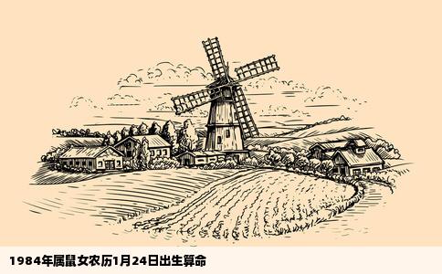 1984年属鼠女农历1月24日出生算命