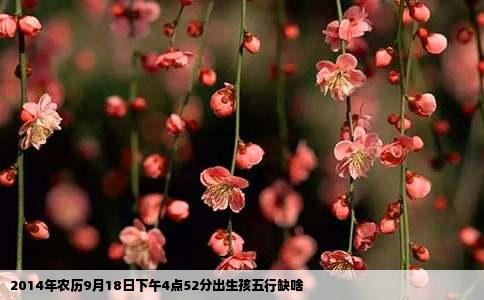 2014年农历9月18日下午4点52分出生孩五行缺啥