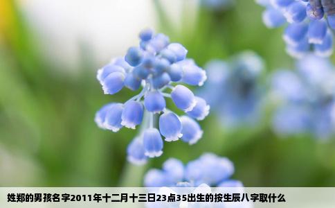姓郑的男孩名字2011年十二月十三日23点35出生的按生辰八字取什么