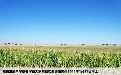 根据生辰八字取名字请大家帮帮忙谢谢哦男孩2011年1月31日早上