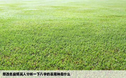 想改名麻烦高人分析一下八字的喜用神是什么