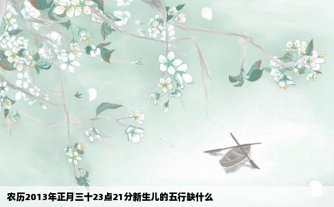 农历2013年正月三十23点21分新生儿的五行缺什么