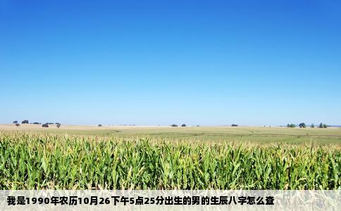 我是1990年农历10月26下午5点25分出生的男的生辰八字怎么查