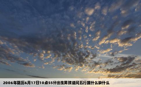 2006年阴历6月17日10点55分出生男孩请问五行属什么缺什么