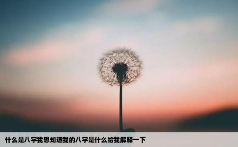 什么是八字我想知道我的八字是什么给我解释一下