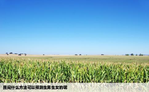 民间什么方法可以预测生男生女的呢