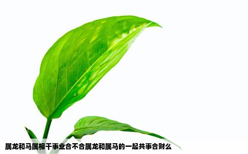 属龙和马属相干事业合不合属龙和属马的一起共事合财么