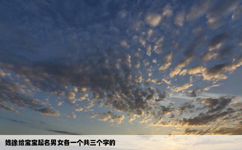 姓徐给宝宝起名男女各一个共三个字的