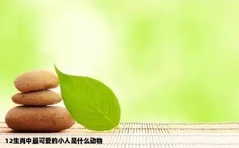 12生肖中最可爱的小人是什么动物
