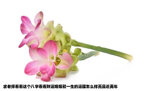 求老师看看这个八字看看财运婚姻和一生的运程怎么样而且近两年