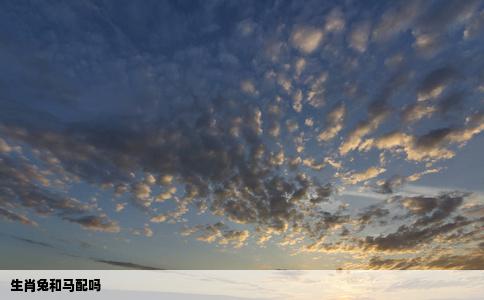 生肖兔和马配吗