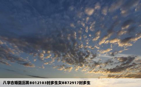 八字合婚阴历男8012103时多生女8872917时多生