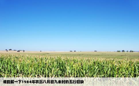 谁能解一下1984年农历八月初九未时的五行旺缺