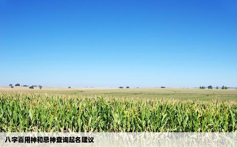 八字喜用神和忌神查询起名建议