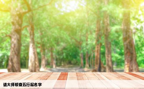 请大师帮查五行起名字