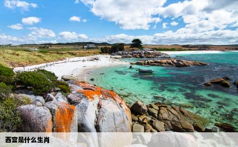 西宫是什么生肖