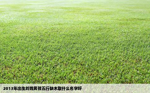 2013年出生刘姓男孩五行缺木取什么名字好