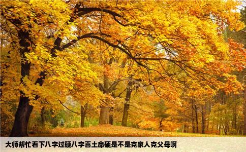 大师帮忙看下八字过硬八字喜土命硬是不是克家人克父母啊