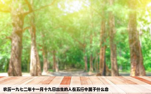 农历一九七二年十一月十九日出生的人在五行中属于什么命