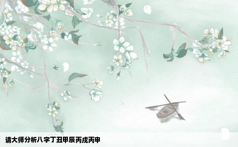 请大师分析八字丁丑甲辰丙戌丙申