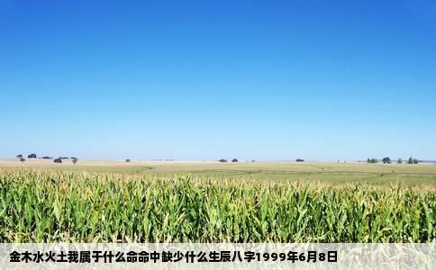 金木水火土我属于什么命命中缺少什么生辰八字1999年6月8日