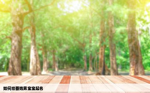 如何给蔡姓男宝宝起名