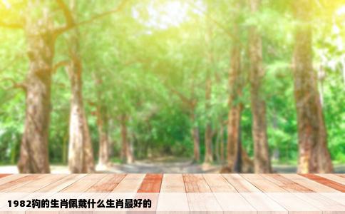1982狗的生肖佩戴什么生肖最好的