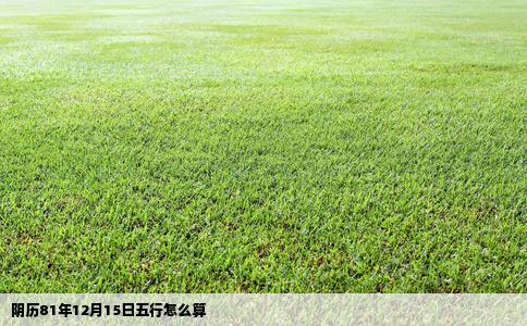 阴历81年12月15日五行怎么算