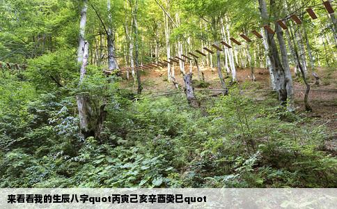 来看看我的生辰八字quot丙寅己亥辛酉癸巳quot