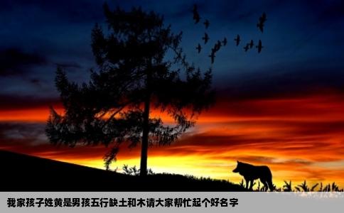 我家孩子姓黄是男孩五行缺土和木请大家帮忙起个好名字