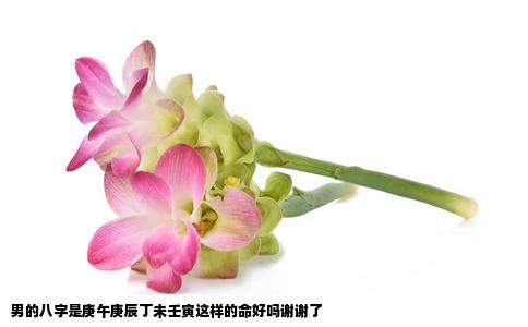 男的八字是庚午庚辰丁未壬寅这样的命好吗谢谢了