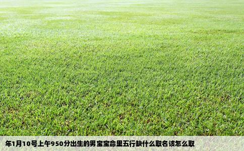 年1月10号上午950分出生的男宝宝命里五行缺什么取名该怎么取