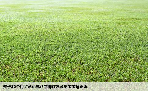 孩子32个月了从小就八字脚该怎么给宝宝矫正呢