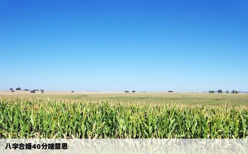 八字合婚40分啥意思