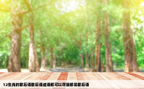 12生肖的歇后语歇后语成语都可以尽量都是歇后语