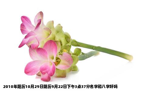 2010年阳历10月29日阴历9月22日下午3点37分名字和八字好吗