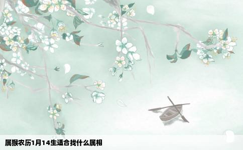 属猴农历1月14生适合找什么属相