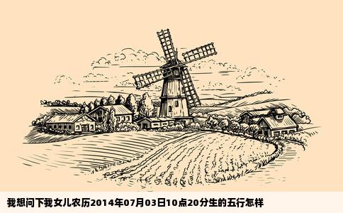 我想问下我女儿农历2014年07月03日10点20分生的五行怎样