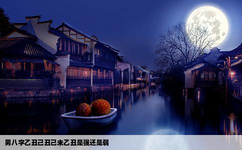 男八字乙丑己丑己未乙丑是强还是弱