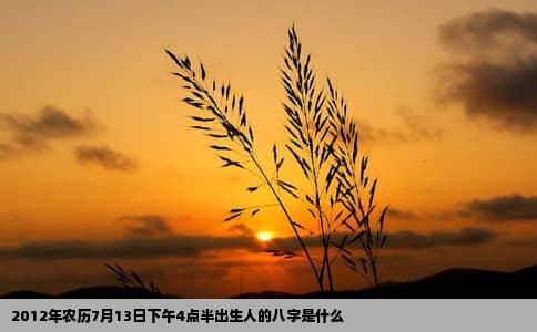 2012年农历7月13日下午4点半出生人的八字是什么
