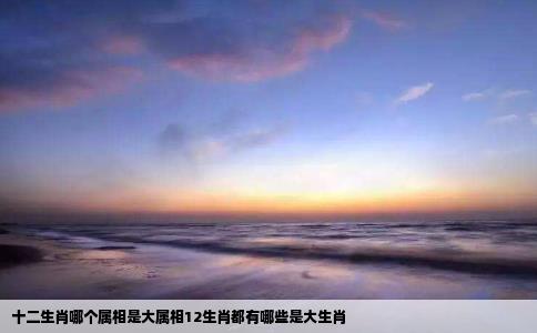 十二生肖哪个属相是大属相12生肖都有哪些是大生肖