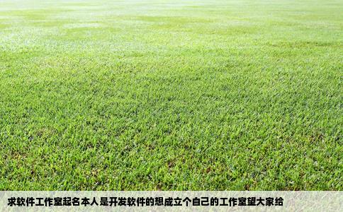 求软件工作室起名本人是开发软件的想成立个自己的工作室望大家给