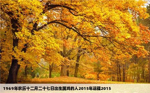 1969年农历十二月二十七日出生属鸡的人2015年运程2015